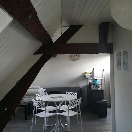 Appartement Spacieux Vue Sur Loire Proche Du Centre ブロワ エクステリア 写真