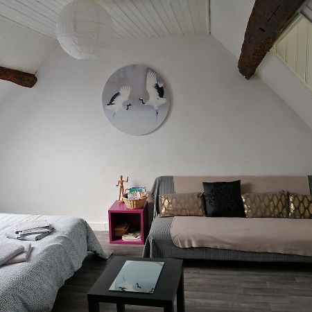 Appartement Spacieux Vue Sur Loire Proche Du Centre ブロワ エクステリア 写真
