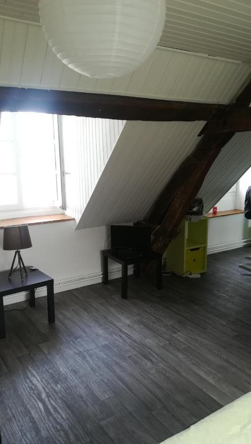 Appartement Spacieux Vue Sur Loire Proche Du Centre ブロワ エクステリア 写真