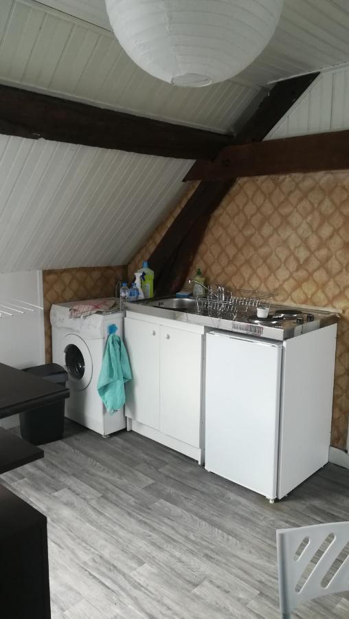 Appartement Spacieux Vue Sur Loire Proche Du Centre ブロワ エクステリア 写真