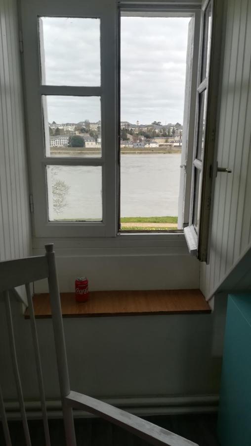 Appartement Spacieux Vue Sur Loire Proche Du Centre ブロワ エクステリア 写真