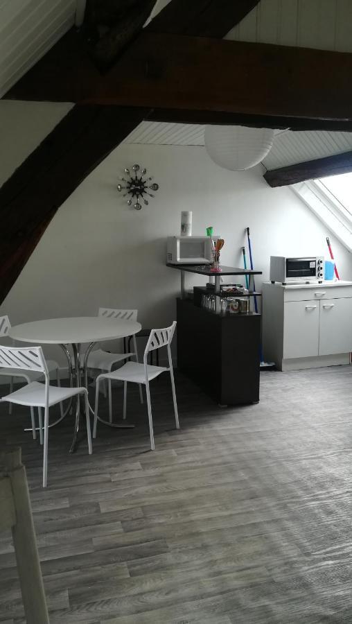 Appartement Spacieux Vue Sur Loire Proche Du Centre ブロワ エクステリア 写真