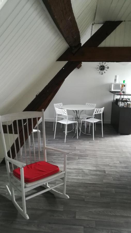 Appartement Spacieux Vue Sur Loire Proche Du Centre ブロワ エクステリア 写真