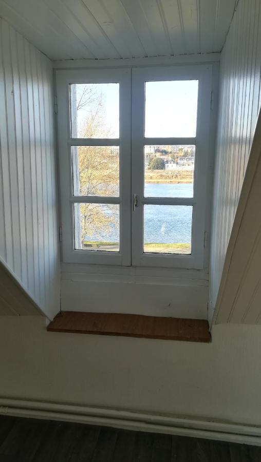 Appartement Spacieux Vue Sur Loire Proche Du Centre ブロワ エクステリア 写真