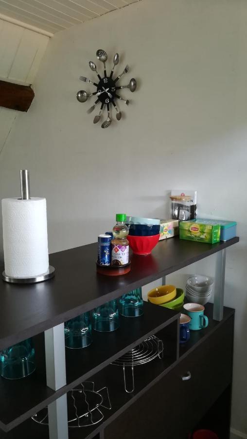 Appartement Spacieux Vue Sur Loire Proche Du Centre ブロワ エクステリア 写真
