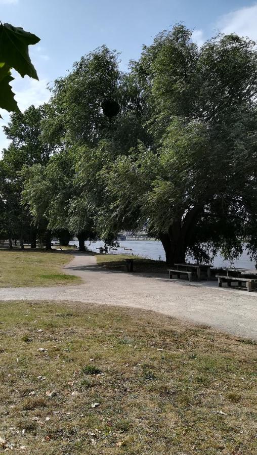 Appartement Spacieux Vue Sur Loire Proche Du Centre ブロワ エクステリア 写真