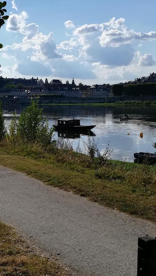 Appartement Spacieux Vue Sur Loire Proche Du Centre ブロワ エクステリア 写真