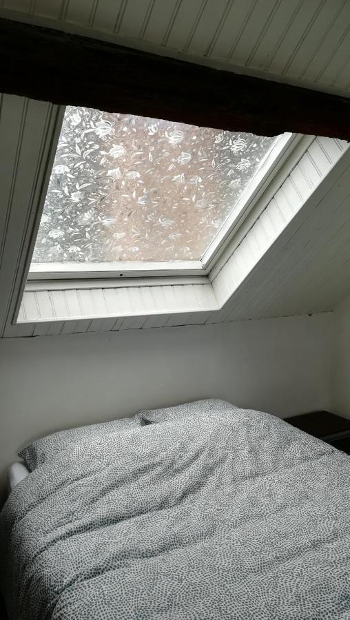 Appartement Spacieux Vue Sur Loire Proche Du Centre ブロワ エクステリア 写真