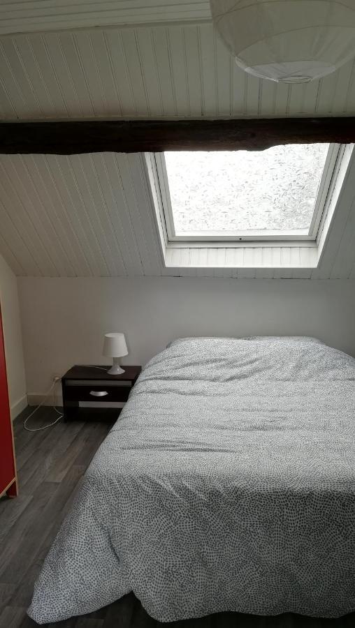 Appartement Spacieux Vue Sur Loire Proche Du Centre ブロワ エクステリア 写真