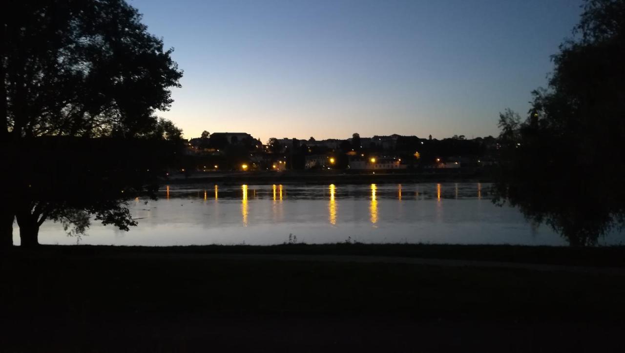 Appartement Spacieux Vue Sur Loire Proche Du Centre ブロワ エクステリア 写真