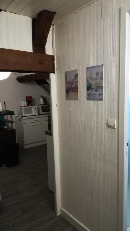 Appartement Spacieux Vue Sur Loire Proche Du Centre ブロワ エクステリア 写真