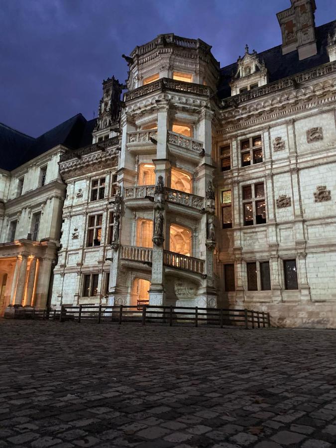 Appartement Spacieux Vue Sur Loire Proche Du Centre ブロワ エクステリア 写真