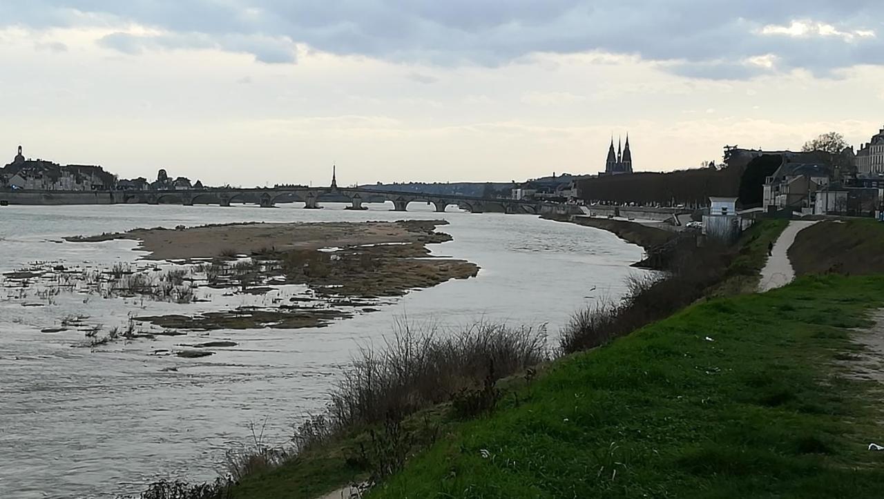 Appartement Spacieux Vue Sur Loire Proche Du Centre ブロワ エクステリア 写真