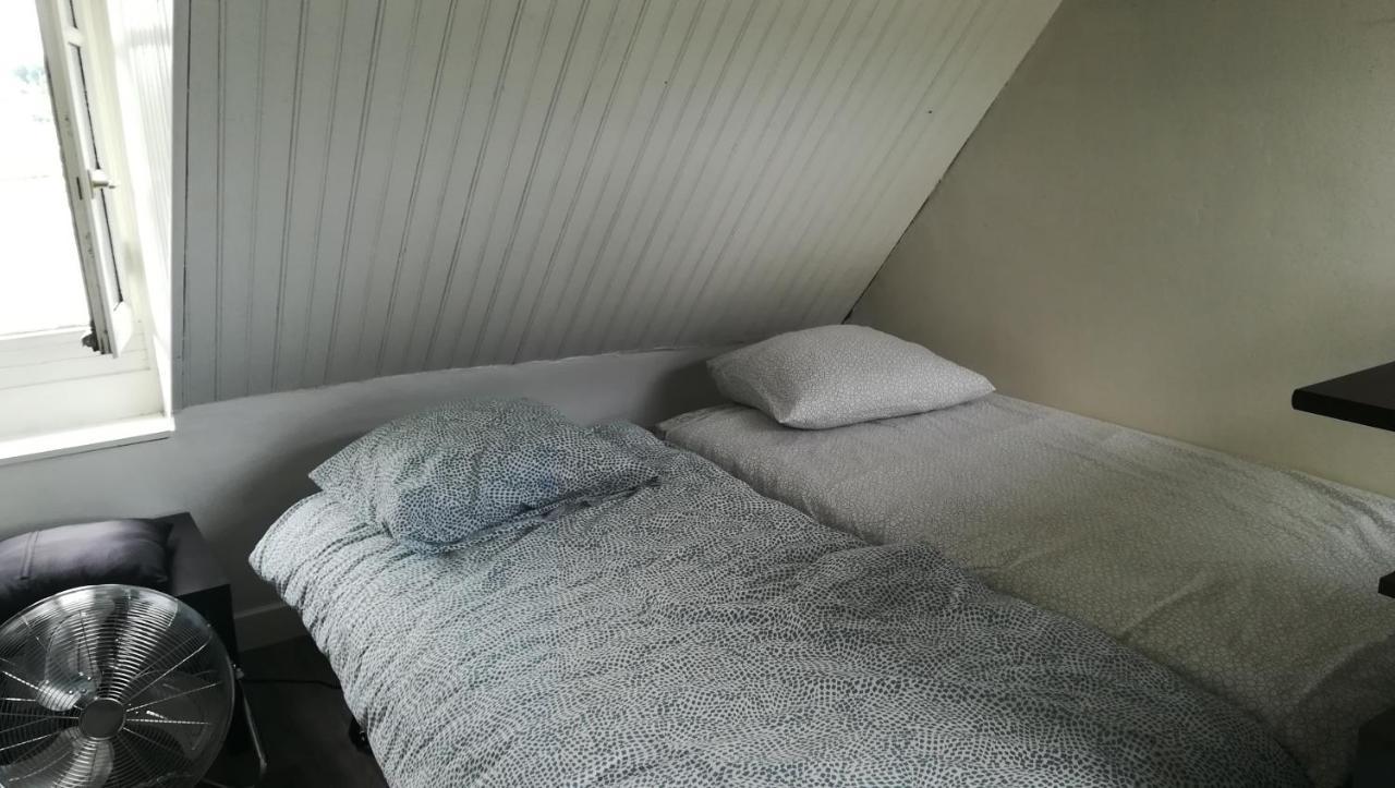 Appartement Spacieux Vue Sur Loire Proche Du Centre ブロワ エクステリア 写真